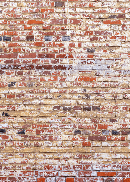 Old Red Brick Wall Backdrop for Grunge Photography SBH0327