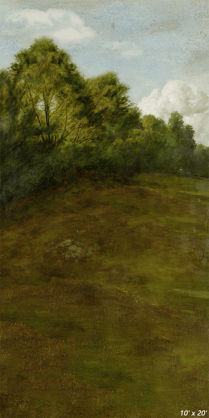 Rural Scenery Oil Painting Photography Backdrop SBH0331