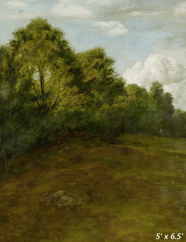 Rural Scenery Oil Painting Photography Backdrop SBH0331