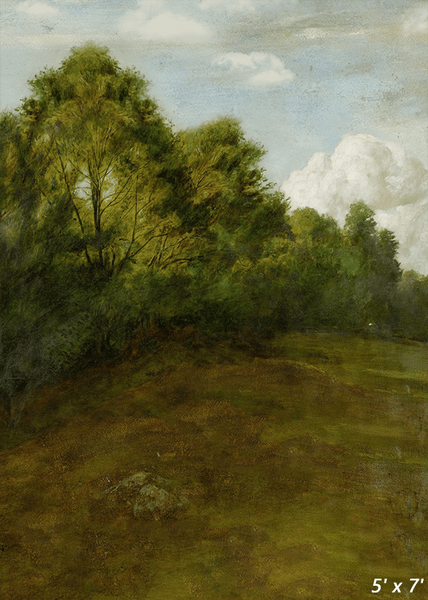 Rural Scenery Oil Painting Photography Backdrop SBH0331