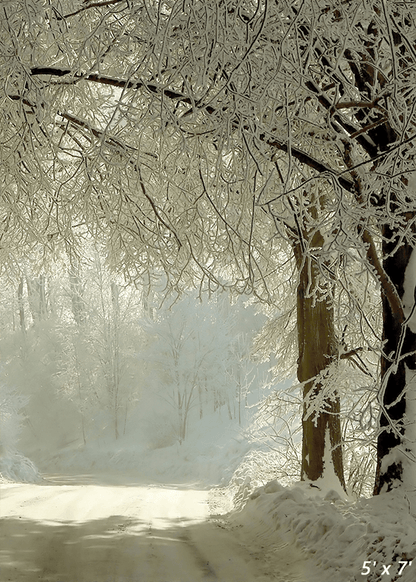 Winter Rural Road Frozen Trees Photography Backdrop SBH0352