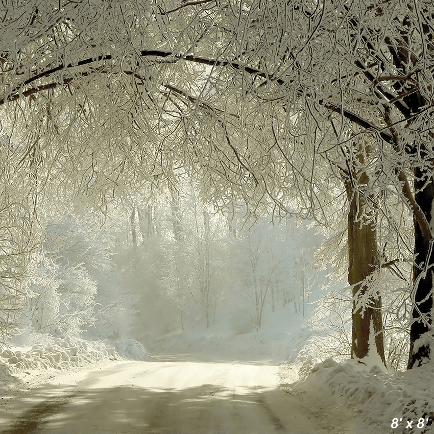 Winter Rural Road Frozen Trees Photography Backdrop SBH0352
