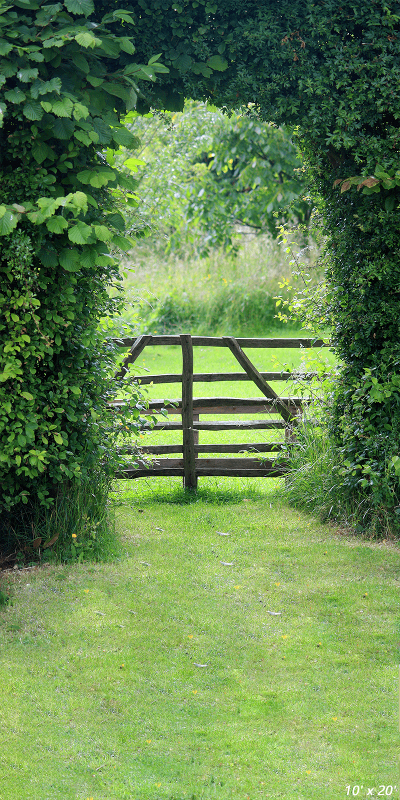 Bright Cozy Green Backdrop for Spring Photography SBH0356