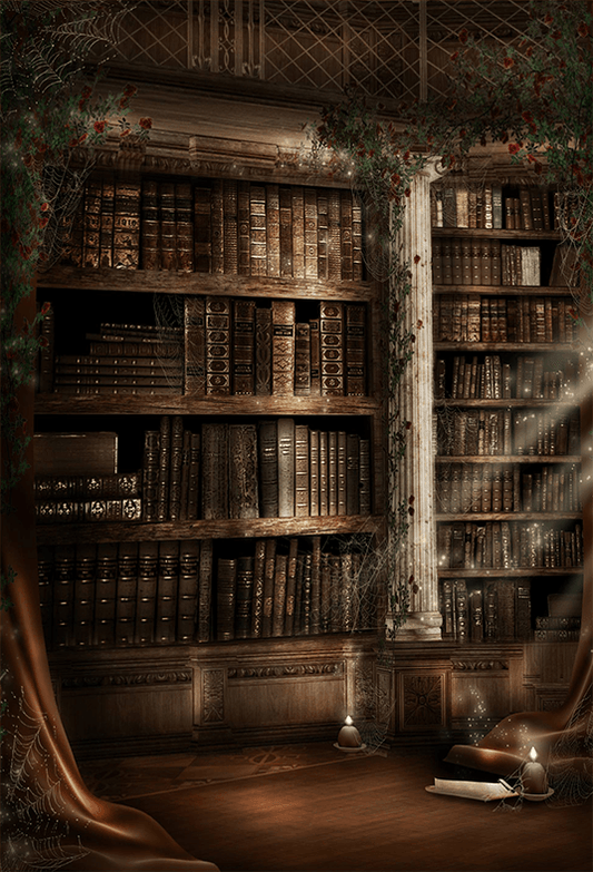 The Ancients History Bookshelf Photography Backdrop SBH0388