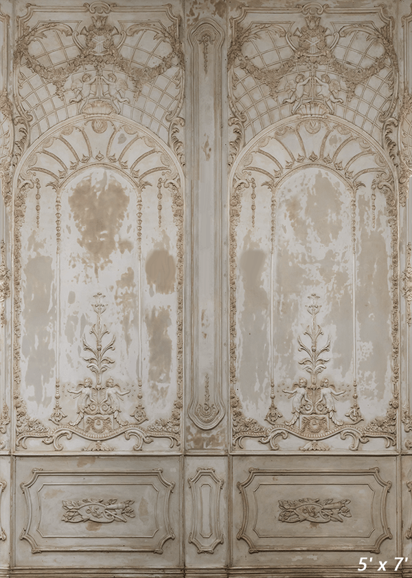 Ornate Plaster Relief Background for Photography SBH0410