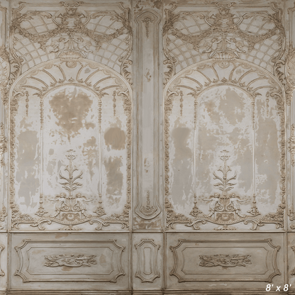 Ornate Plaster Relief Background for Photography SBH0410