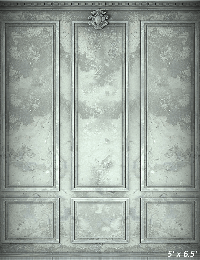 Classic Interior Wall Backdrop for Photography SBH0418