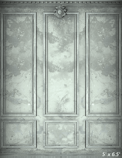 Classic Interior Wall Backdrop for Photography SBH0418