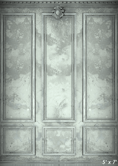 Classic Interior Wall Backdrop for Photography SBH0418