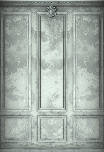 Classic Interior Wall Backdrop for Photography SBH0418
