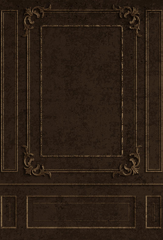 Classic Brown Interior Wall Fabric Photo Backdrop SBH0426