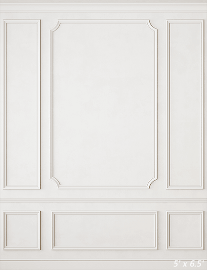 Modern Classic White Interior Wall Backdrop SBH0460