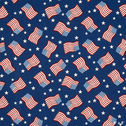 America Flags Patriotic Backdrop For Photo SBH0472
