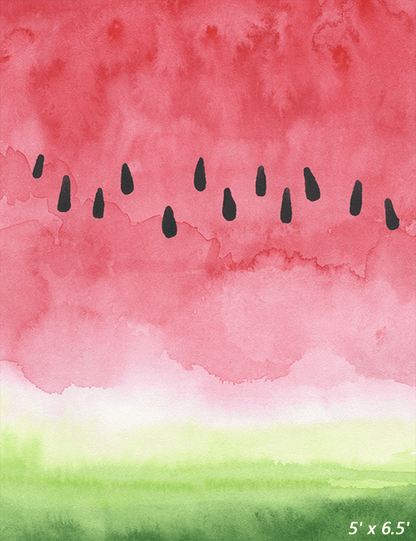 Abstract Summer Watermelon Backdrop for Photo SBH0479