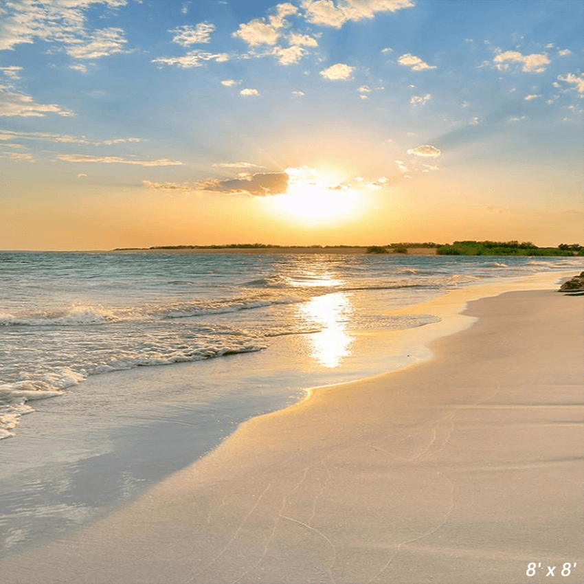 Sunrise Beach Summer Backdrop for Photography SBH0483