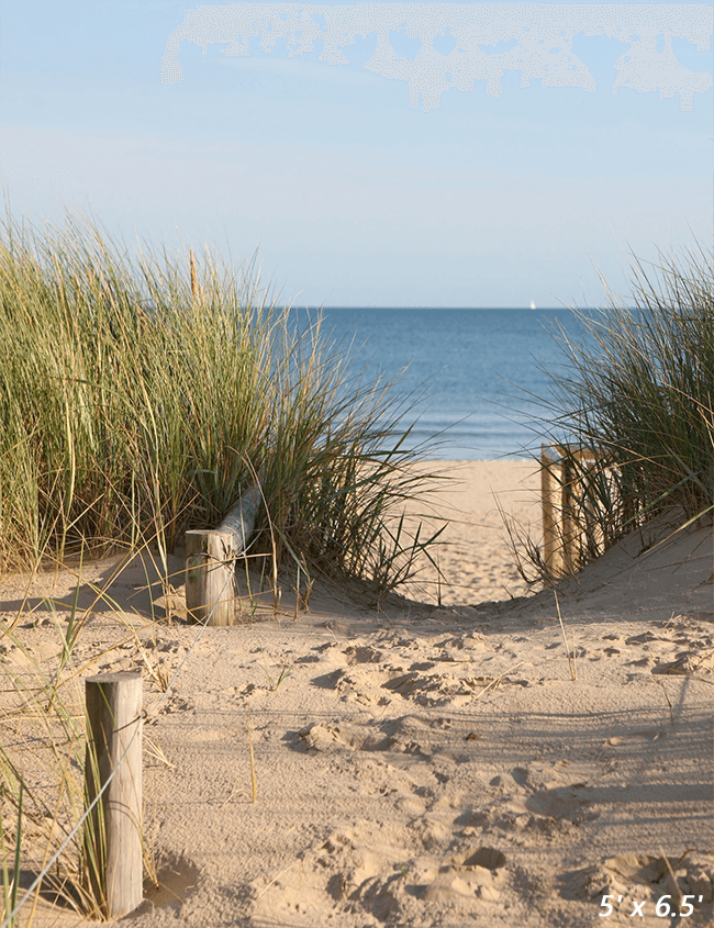 Beach Sand Dunes Access Path Photo Background SBH0485