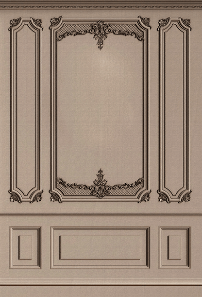 Vintage Classic Interior Wall  Backdrop for Photo SBH0491