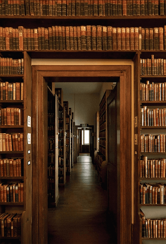 Library Reading Room Shelves Backdrop Background SBH0521