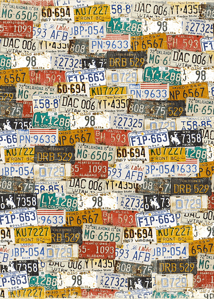 Vintage License Plates Background backdrop for Photo SBH0577