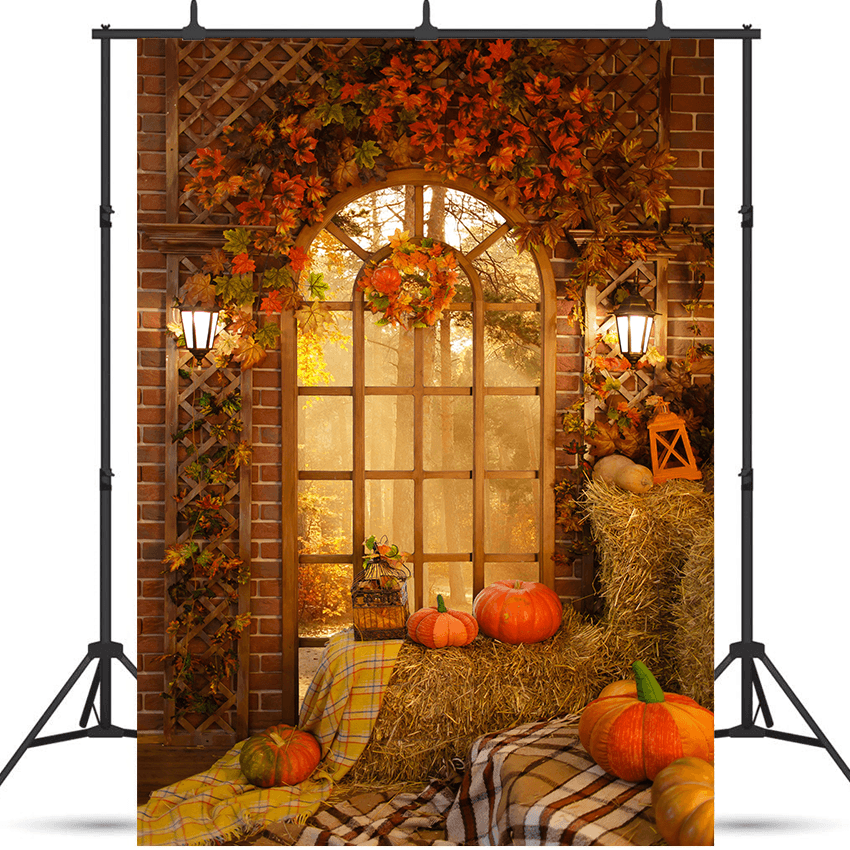 Autumn Farm Barn Window Pumpkin Hay Photography Backdrop SBH0620