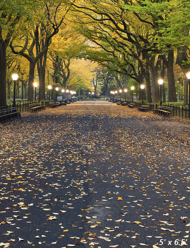 Autumn Central Park Literary Walk Photography Backdrop SBH0621