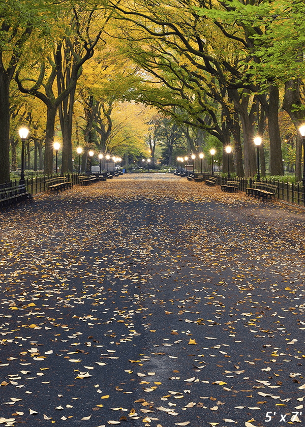 Autumn Central Park Literary Walk Photography Backdrop SBH0621