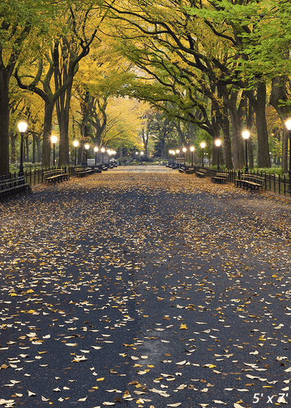 Autumn Central Park Literary Walk Photography Backdrop SBH0621