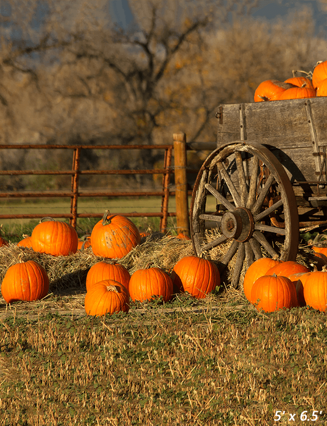 Wagon With Pumpkins Harvest Fall Backdrop for Photo SBH0632