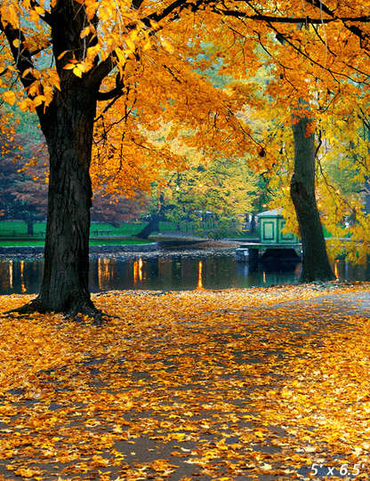 Autumn Leaves Background Backdrop for Photography SBH0634