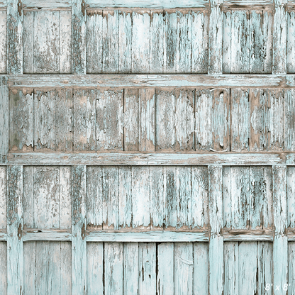 Paint-Peeling Wooden Old Door Backdrop for Photography SBH0642