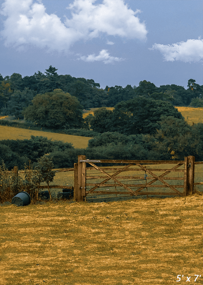 Brown Grass Field Under Beautiful Sky Background For Photo SBH0691
