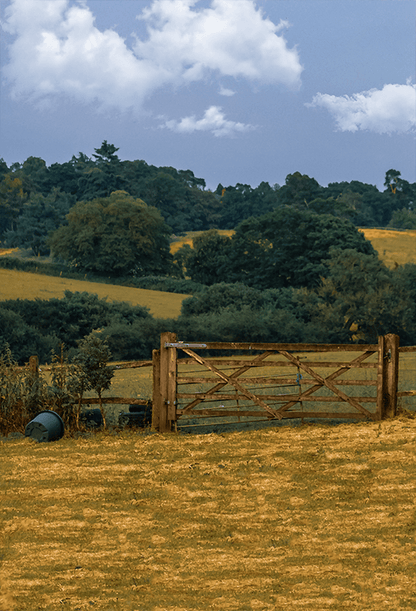 Brown Grass Field Under Beautiful Sky Background For Photo SBH0691