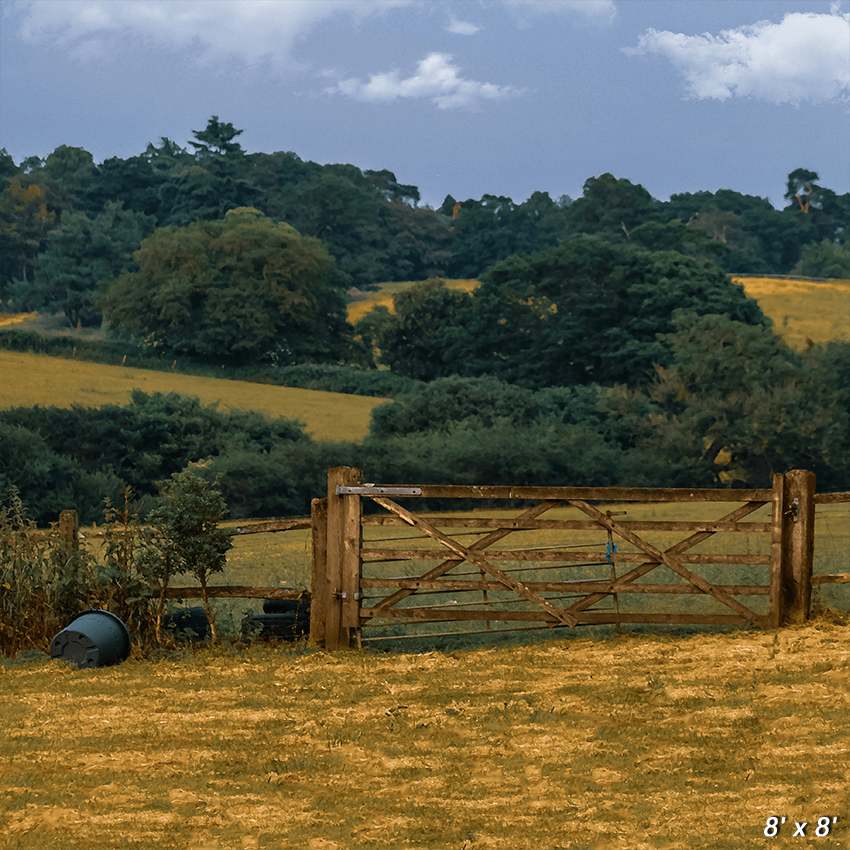 Brown Grass Field Under Beautiful Sky Background For Photo SBH0691